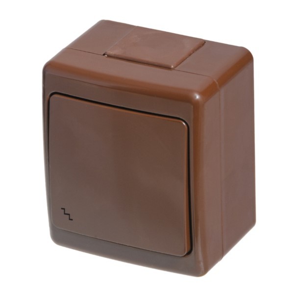 Wechselschalter Aufputz mit Symbol Beta Braun IP44 Pawbol D.3210WS