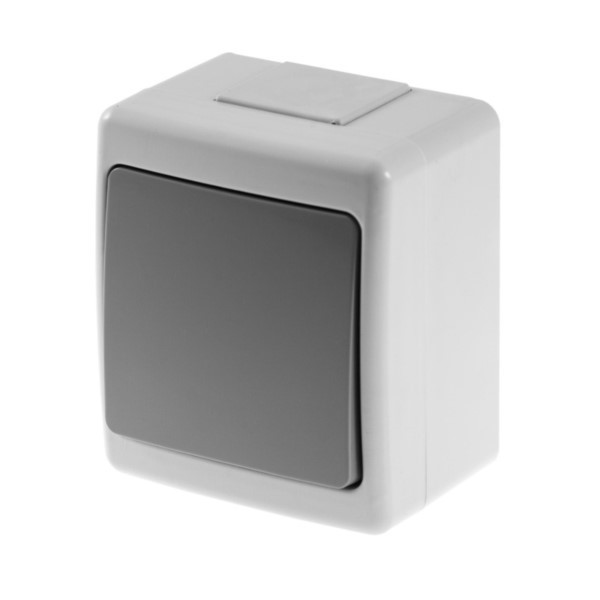 Wechselschalter Aufputz mit Symbol Beta1 Grau IP44 Pawbol D.3610WS